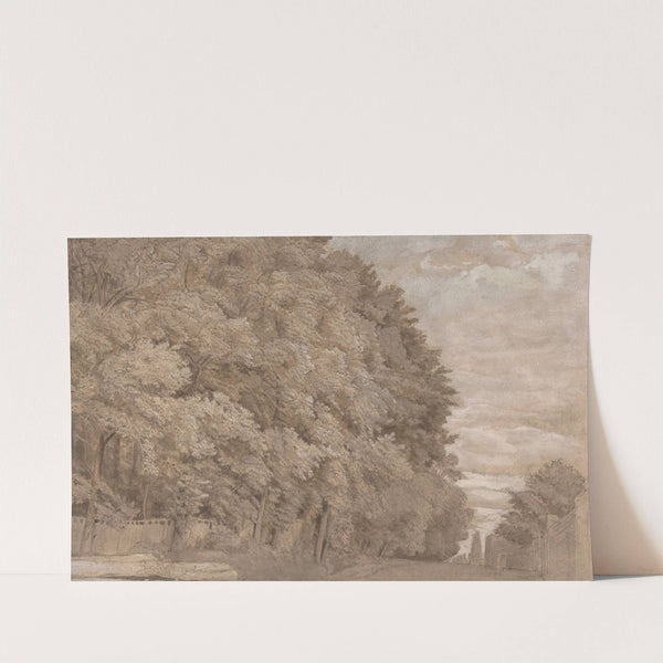 Large Forest by Johannes Leupenius