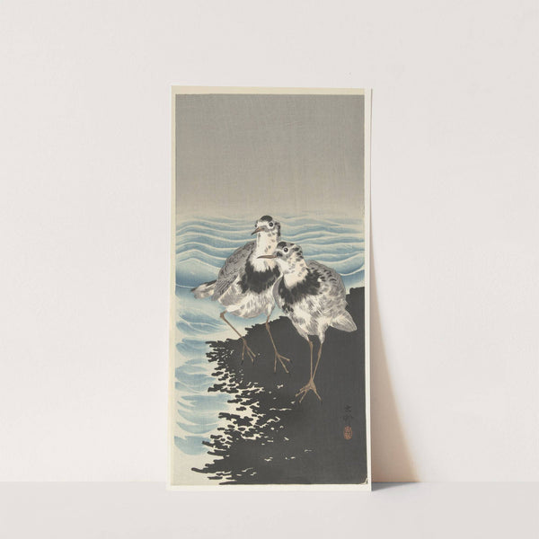 Large knot sandpipers by Ohara Koson