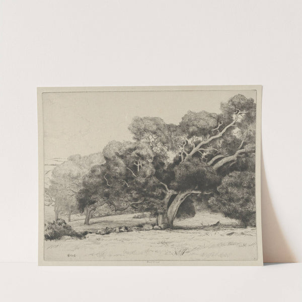 Large Live Oak (1915-1925) by Ernest Haskell