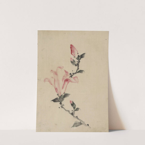 Large pink blossom on a stem with three additional buds by Katsushika Hokusai