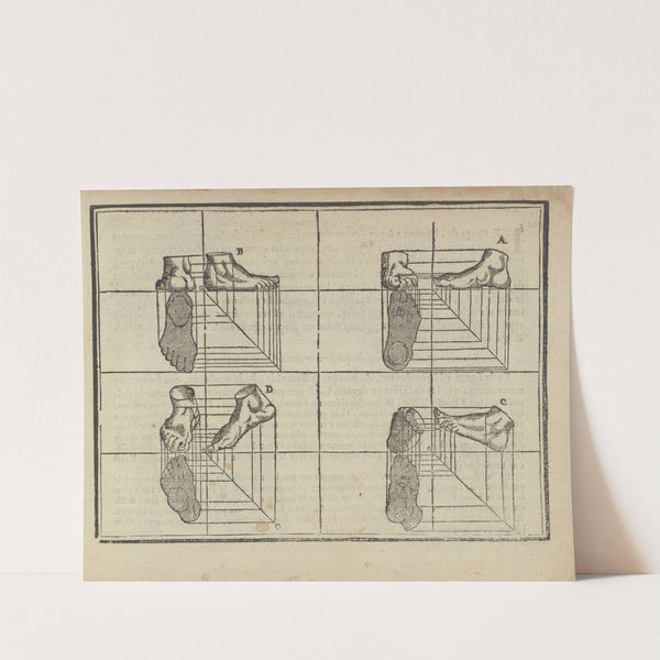 L’art de dessiner de Maistre Jean Cousin Pl.12 (1685) by Jean Cousin the Younger