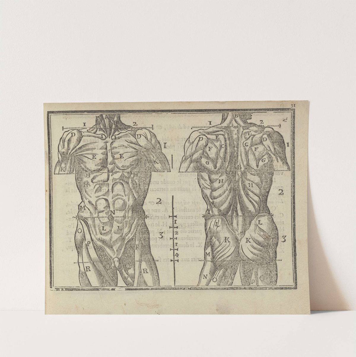 L’art de dessiner de Maistre Jean Cousin Pl.13 (1685) by Jean Cousin the Younger
