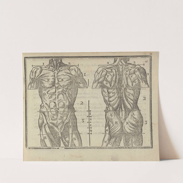 L’art de dessiner de Maistre Jean Cousin Pl.13 (1685) by Jean Cousin the Younger