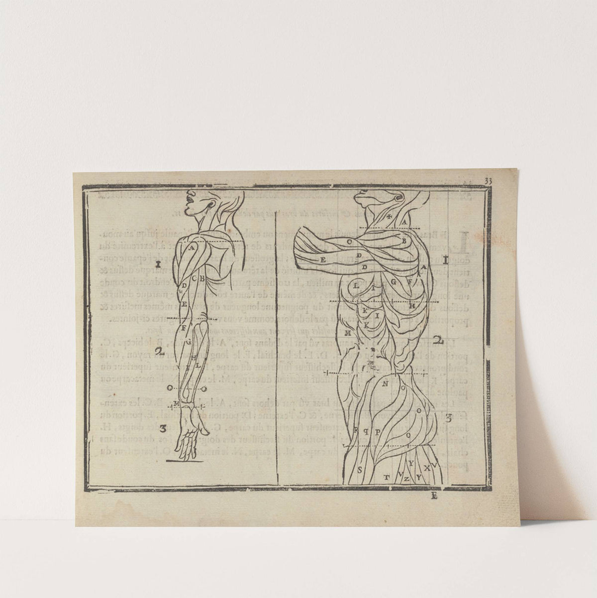 L’art de dessiner de Maistre Jean Cousin Pl.14 (1685) by Jean Cousin the Younger