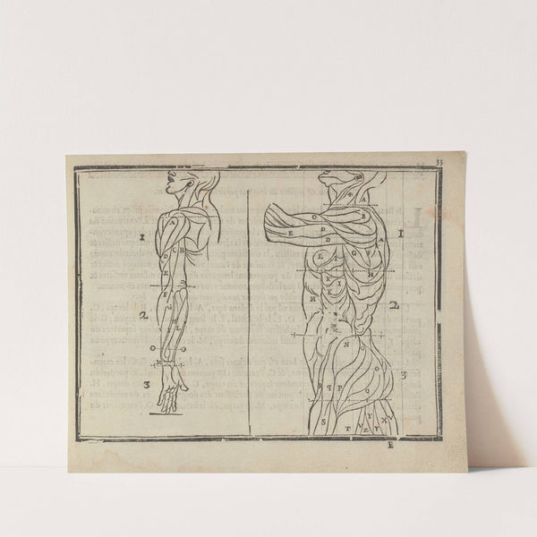 L’art de dessiner de Maistre Jean Cousin Pl.14 (1685) by Jean Cousin the Younger