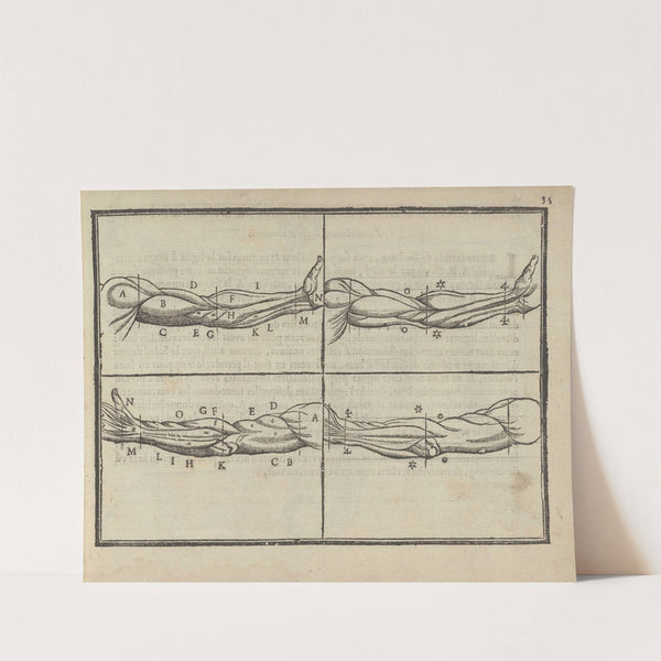 L’art de dessiner de Maistre Jean Cousin Pl.15 (1685) by Jean Cousin the Younger