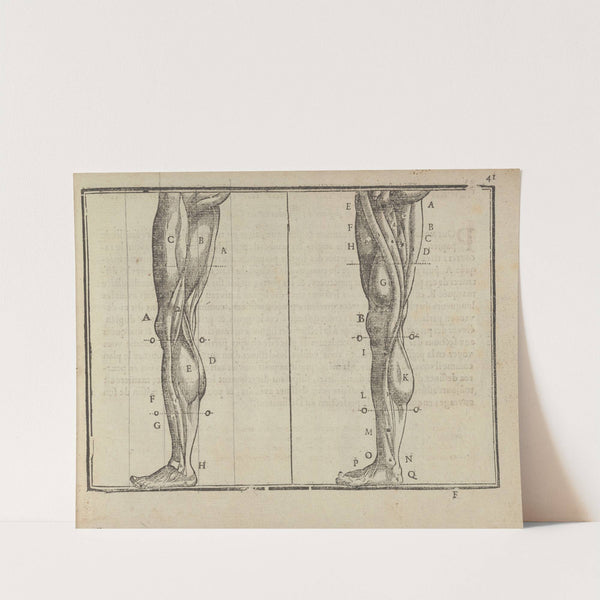 L’art de dessiner de Maistre Jean Cousin Pl.18 (1685) by Jean Cousin the Younger