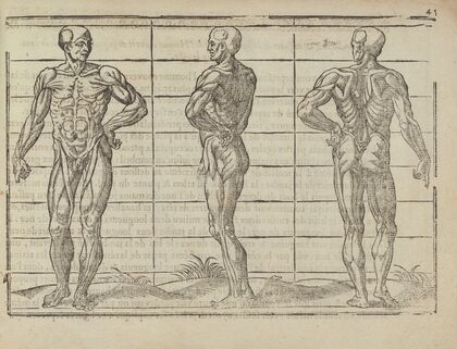 L’art de dessiner de Maistre Jean Cousin Pl.20