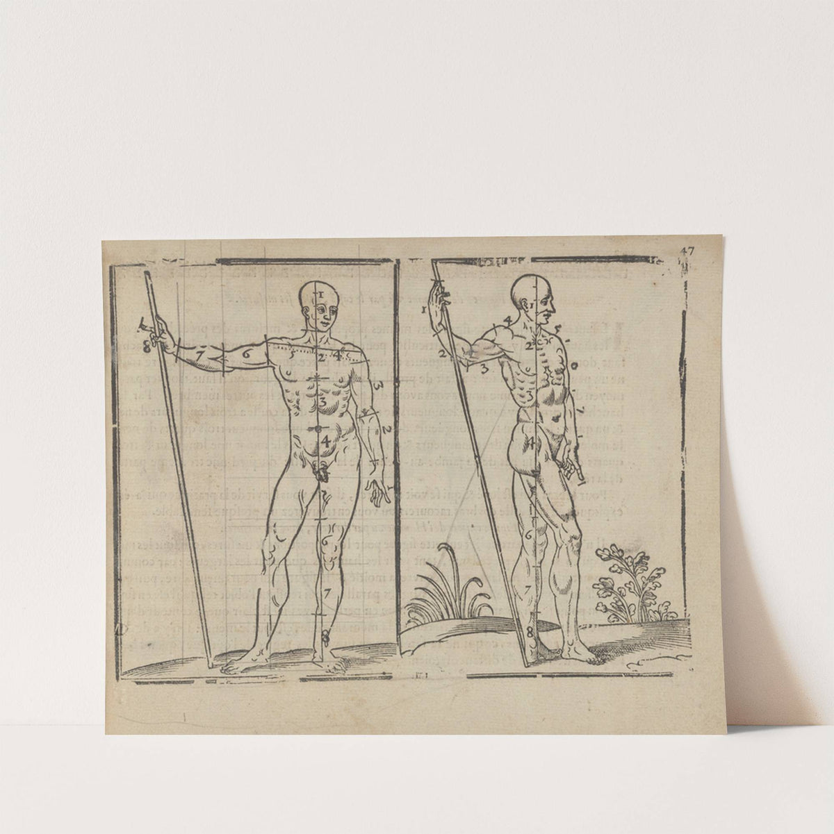 L’art de dessiner de Maistre Jean Cousin Pl.21 (1685) by Jean Cousin the Younger