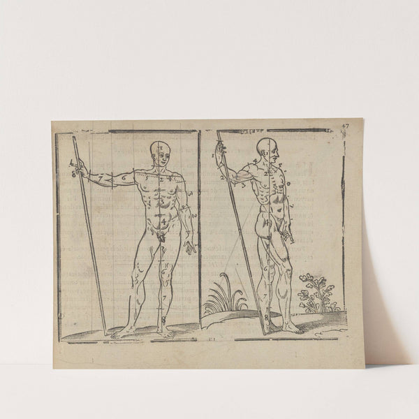 L’art de dessiner de Maistre Jean Cousin Pl.21 (1685) by Jean Cousin the Younger