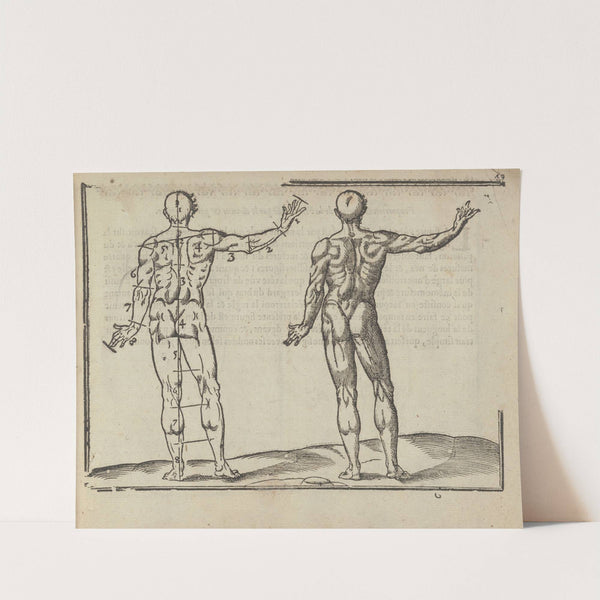 L’art de dessiner de Maistre Jean Cousin Pl.22 (1685) by Jean Cousin the Younger