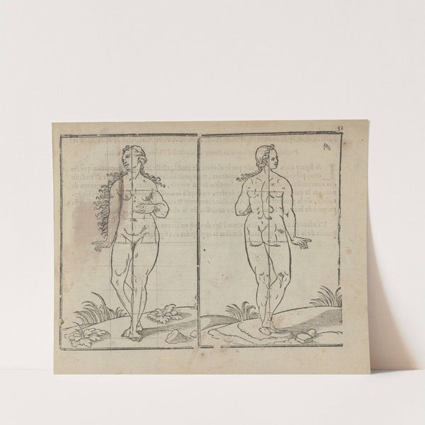 L’art de dessiner de Maistre Jean Cousin Pl.23 (1685) by Jean Cousin the Younger