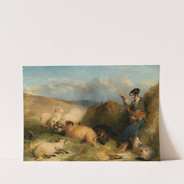 Lassie Herding Sheep by Sir Edwin Henry Landseer