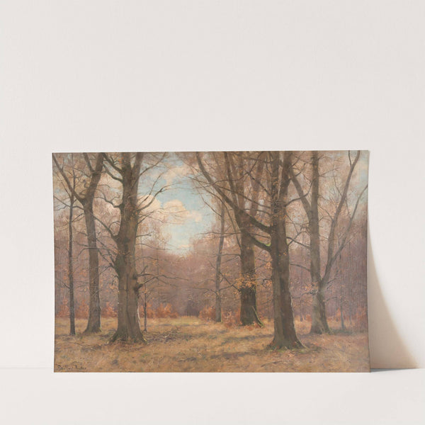 Late fall in the beech forest by Peter Paul Müller