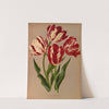 Late Rose Tulips (1872-1881) by Arentina Hendrica Arendsen