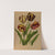 Late Tulips Bizarres (1872-1881) by Arentina Hendrica Arendsen