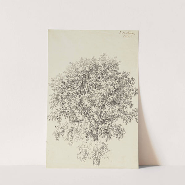 Laubbaum by Franz Theobald Horny