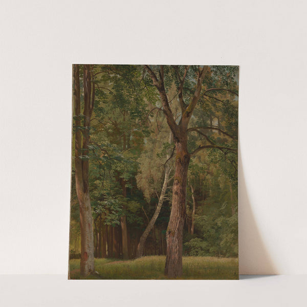 Laubwald mit Kastanien und Birken by Johann Wilhelm Schirmer