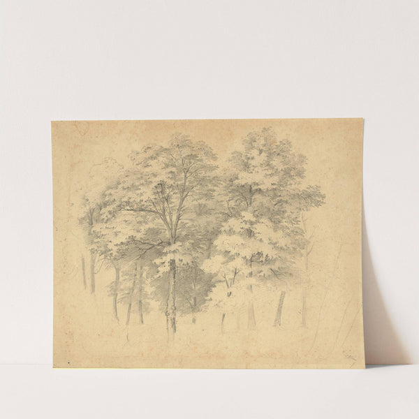 Laubwaldbäume (1870) by Tina Blau