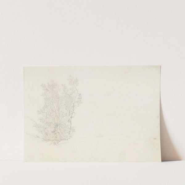 Laurel by Franz Theobald Horny