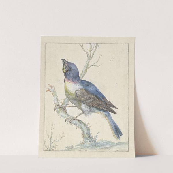 Lazuli Bunting (c. 1670 - c. 1719) by Jan Weenix