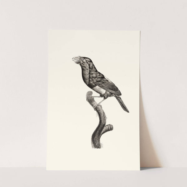 Le Barbican. by Jacques Barraband