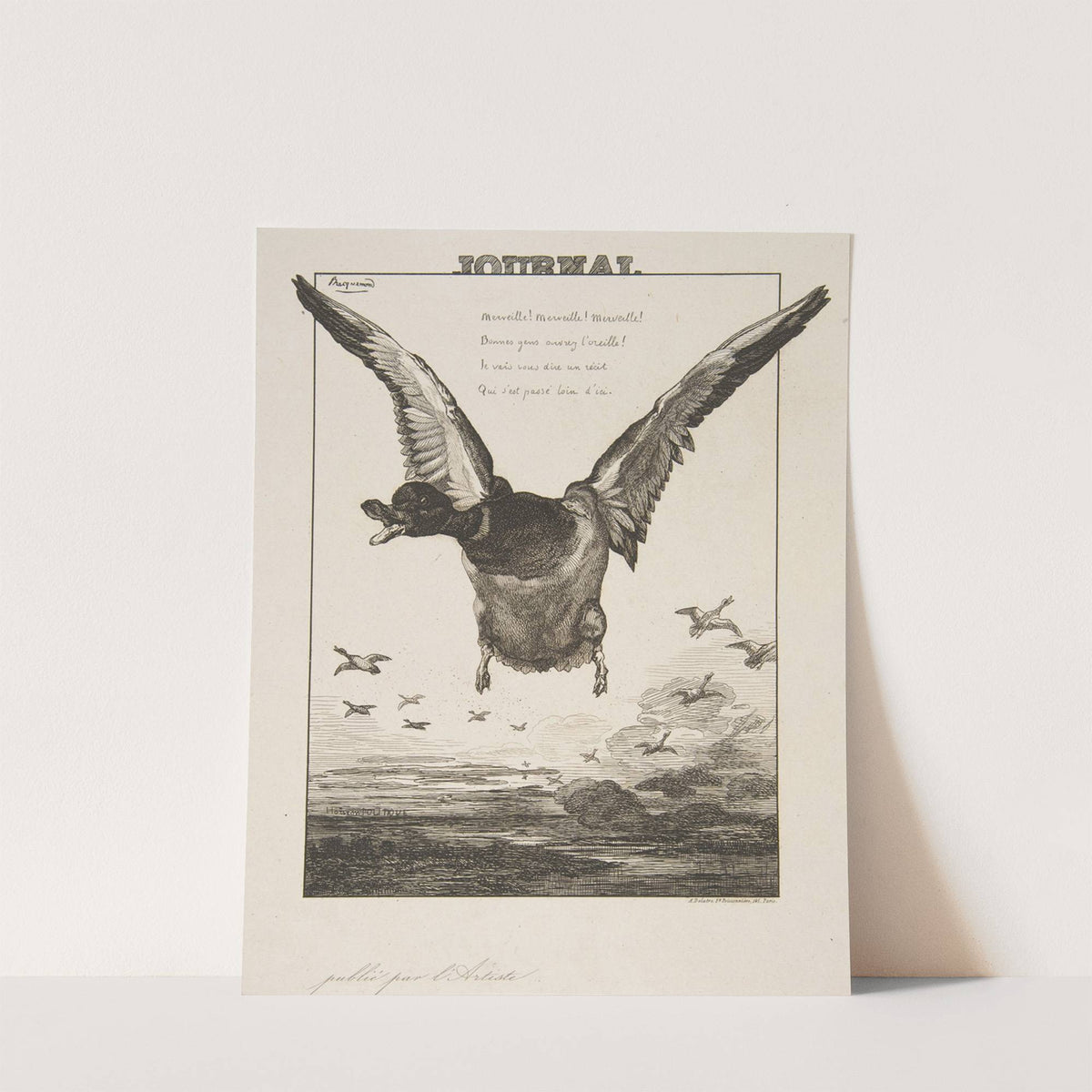 Le Canard (1856) by Félix Bracquemond