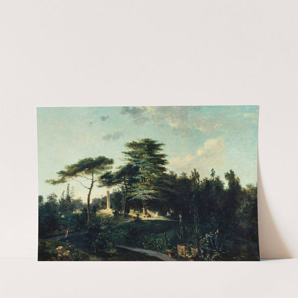 Le cèdre du Liban, au jardin des Plantes by Jean Houel