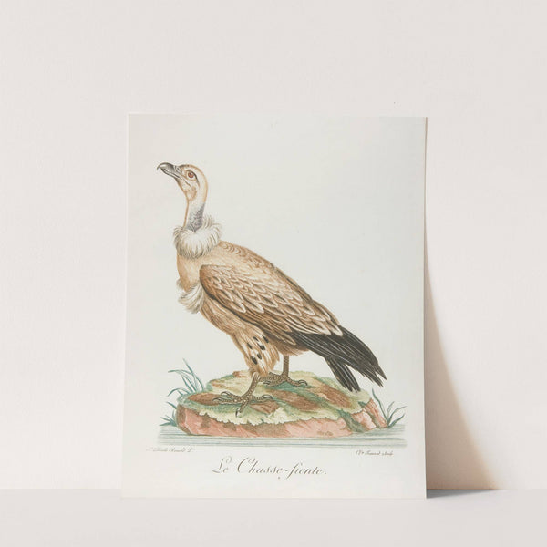 Le chasse-fiente (18th century) by François Levaillant