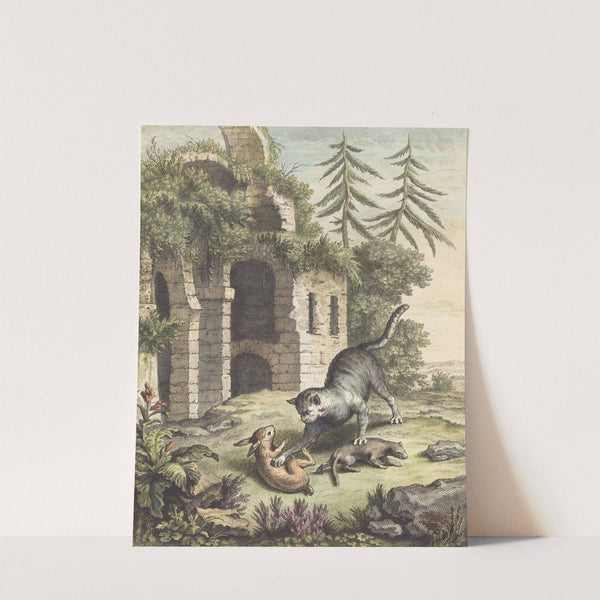 Le chat, la balette et le petit lapin (The Cat, the Weasel, and the Rabbit) by Martin Marvie