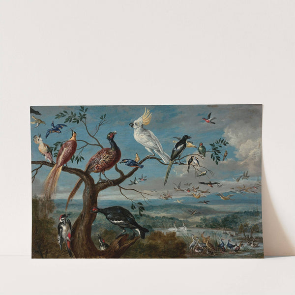 Le concert des oiseaux by Jan Van Kessel The Elder