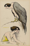 le faucon