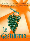 Le Gastrhéma (1910-1950)