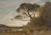 Le grand pin parasol (Souvenir d’Italie)