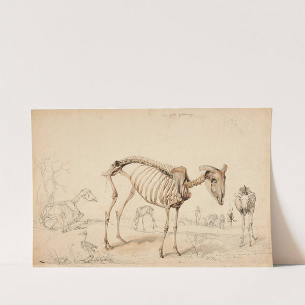 Le gras pâturage by Jacques-Raymond Brascassat