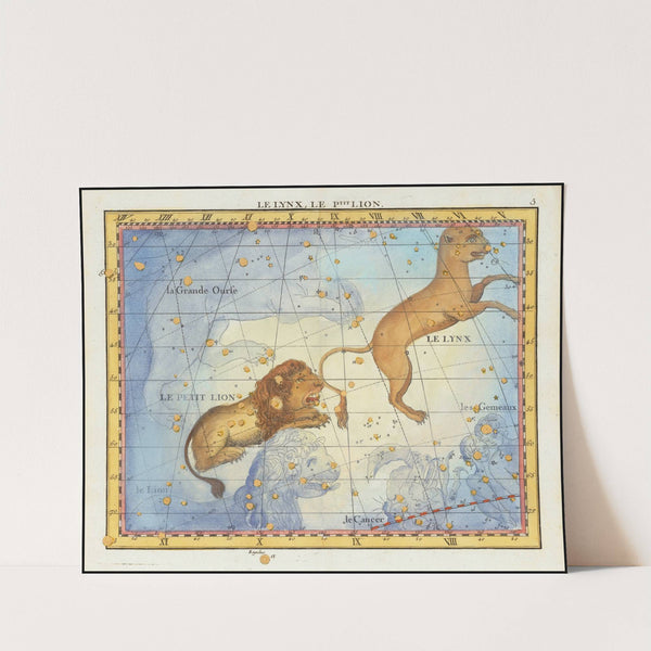 Le Lion (Leo), Le Lynx (1776) by John Flamsteed