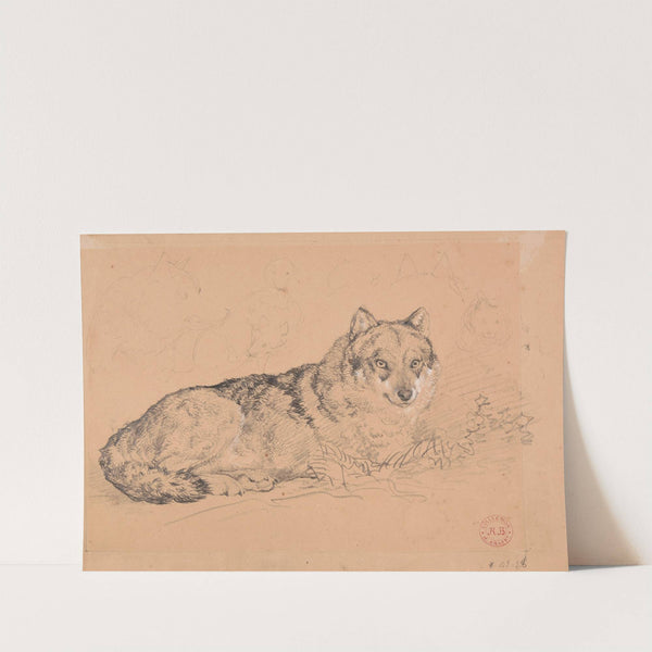 Le Loup by Jacques-Raymond Brascassat