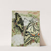 Le Machaon (1934) by Paul-Andre Robert