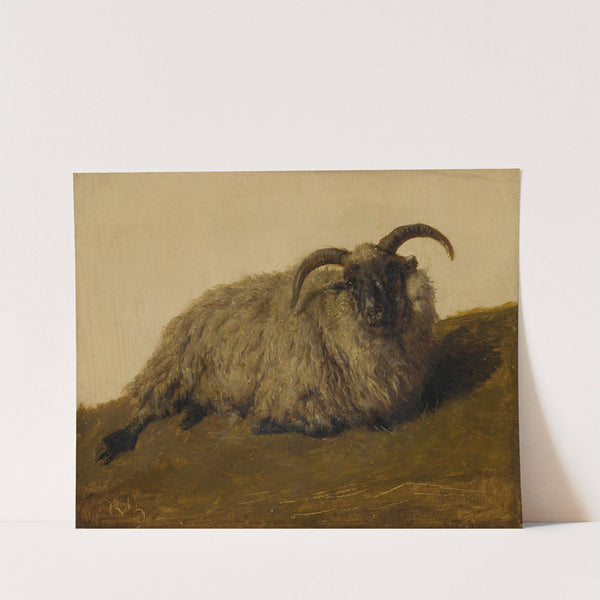 Le Mérinos by Rosa Bonheur