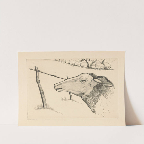 Le Mouton endormi (1926) by Lodewijk Schelfhout