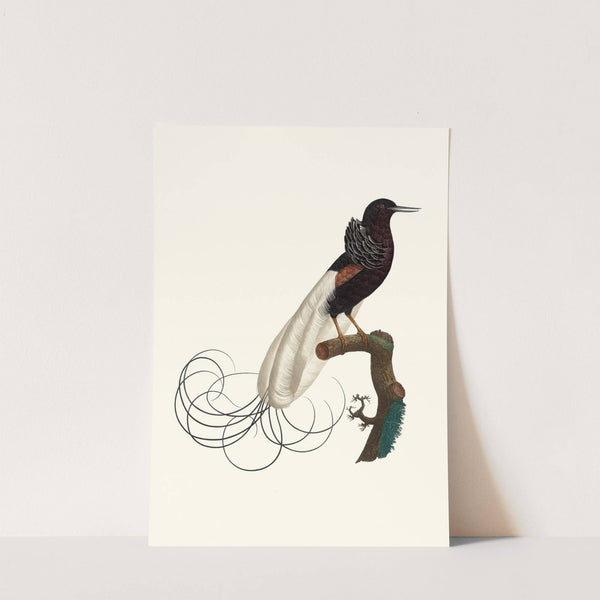 Le Nébuleux, l'état du repos. by Jacques Barraband