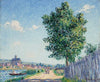 Le peuplier, effet de soleil, Villeneuve-sur-Yonne