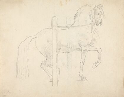 Le Piaffer, Dressage Position