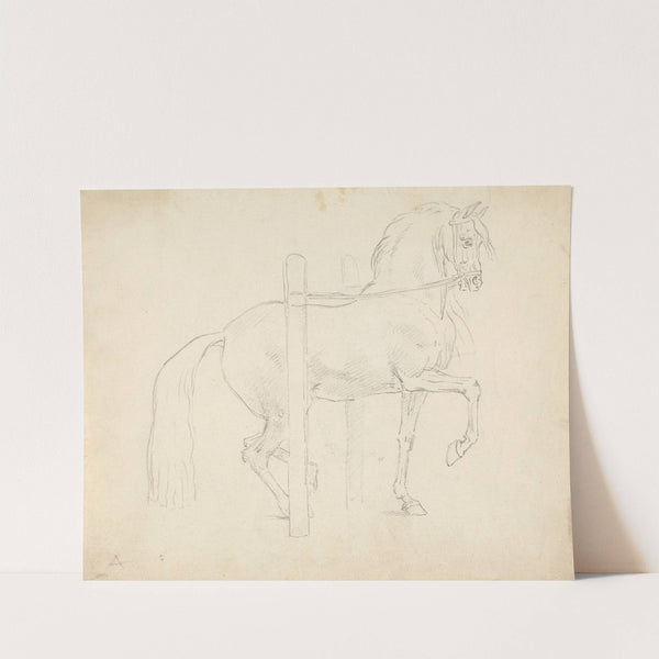 Le Piaffer, Dressage Position by Sawrey Gilpin