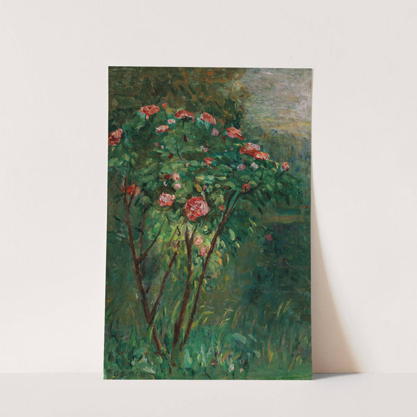 Le rosier fleuri by Gustave Caillebotte