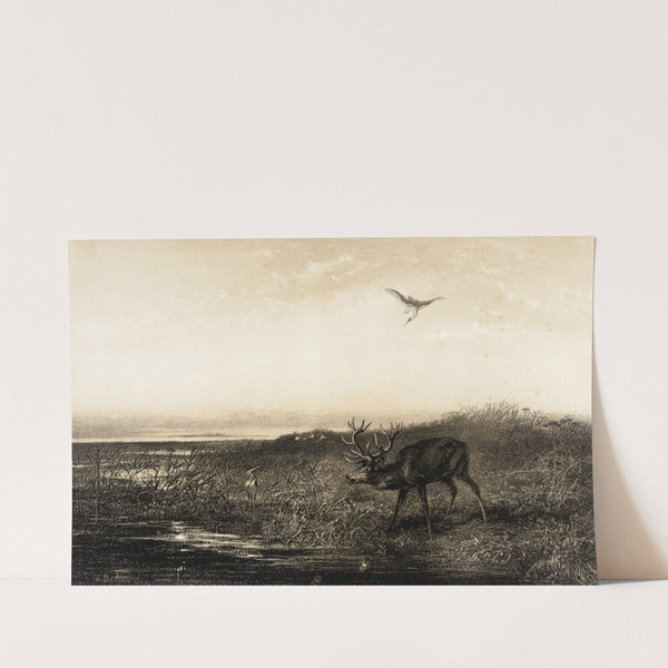 Le Soir; Cerf et Herons (Evening; Stag and Herons) (1858) by Karl Bodmer