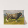 Le taureau gris by Rosa Bonheur