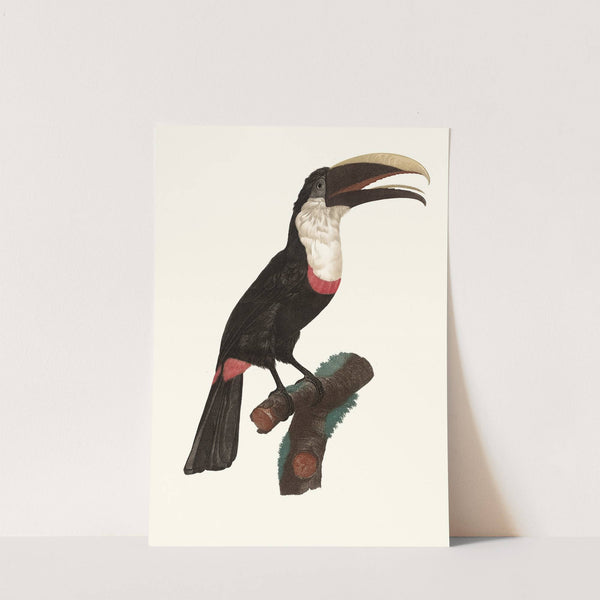 Le Tocards. by Jacques Barraband