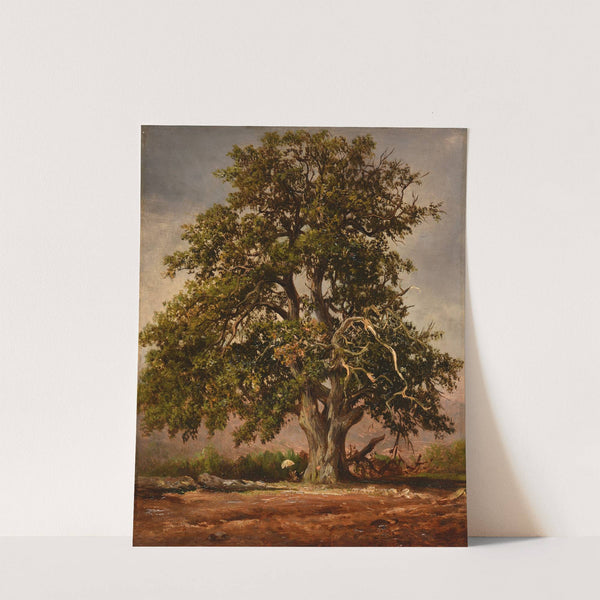 Le Vieux chêne by Jacques-Raymond Brascassat