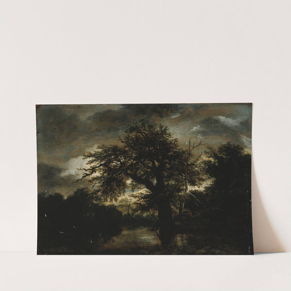 Le Vieux Chêne (1648) by Jacob van Ruisdael